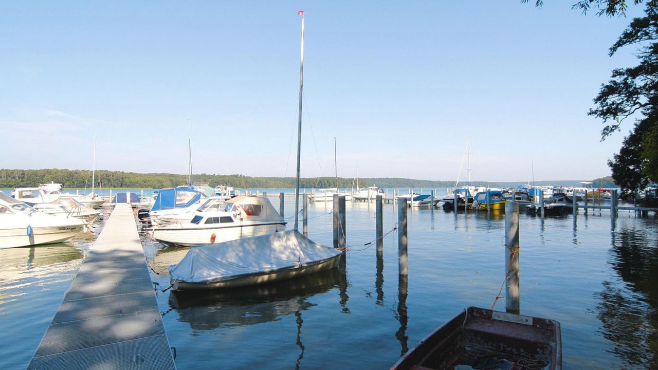 AreaSummer1KM AreaSummer1KM